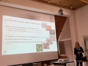 WhatsApp Image 2022-09-07 at 04.16.24.1