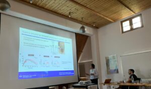 WhatsApp Image 2022-09-07 at 04.16.30