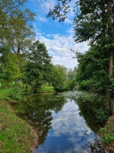 WhatsApp Image 2022-09-09 at 16.57.59