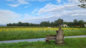 WhatsApp Image 2022-09-09 at 17.01.40