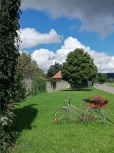 WhatsApp Image 2022-09-10 at 03.40.47